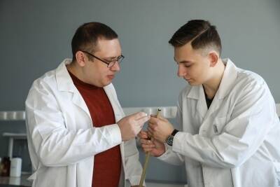 В северокавказском университете изобрели наномел для бильярда