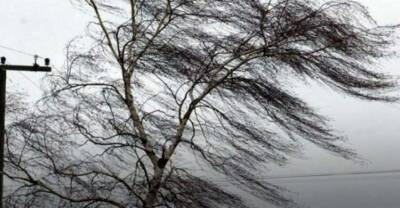 Внимание, непогода: 19 февраля на западе Украины объявлено штормовое предупреждение