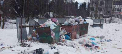 Мусорная площадка «лопается» от отходов в поселке Карелии