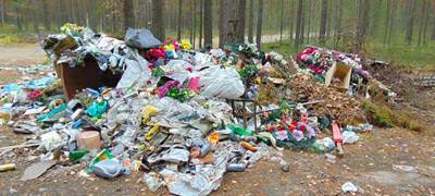 Власти решили бить рублем по любителям выбрасывать мусор в лес
