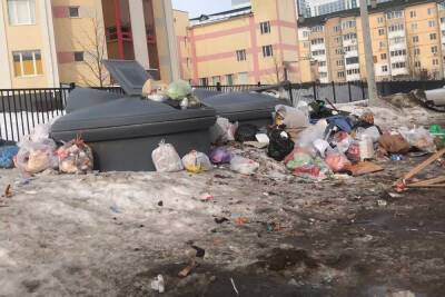 У школы № 73 в Рязани две недели не вывозят мусор