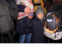 В Воронежской области беженцев из Донбасса могут разместить в семьях