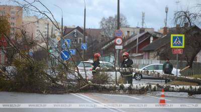 ФОТОФАКТ: В Гродненской области устраняют последствия сильного ветра