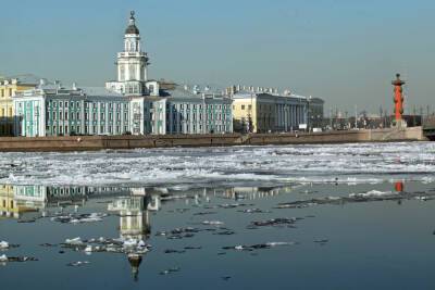 В Петербурге вырос спрос на экскурсоводов в 2,5 раза с начала 2022 года