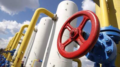 В ЕК признали невозможность оперативной замены газа из России поставками СПГ