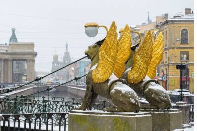 Плюсовая температура и мокрый снег придут в Петербург 20 февраля