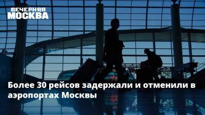 Дмитрий Горин - Более 30 рейсов задержали и отменили в аэропортах Москвы - vm.ru - Москва - Россия - Таиланд - Москва