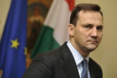 Экс-глава МИД Польши обвинил ФРГ в игнорировании интересов Украины