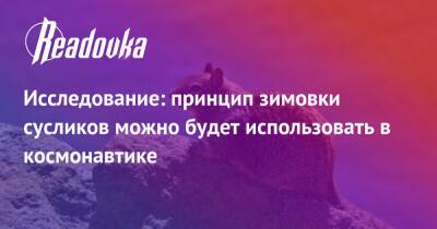 Исследование: принцип зимовки сусликов можно будет использовать в космонавтике - readovka.news