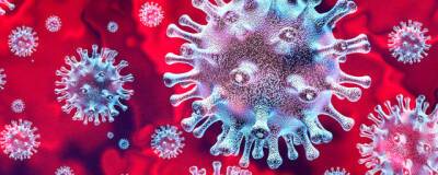 В Бердске у 40% больных ОРВИ выявили коронавирус