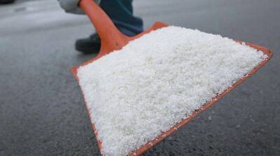 Литве из-за запрета на белорусскую соль для дорог приходится покупать ее втрое дороже