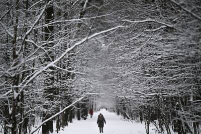 Синоптики прогнозируют небольной снегопад в Москве 2 февраля