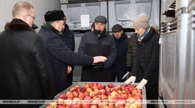 На внутреннем рынке достаточно овощей, цены регулируются — ГОЛОВЧЕНКО