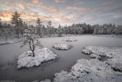 Снежная и умеренная погода ожидается в Ленобласти в среду