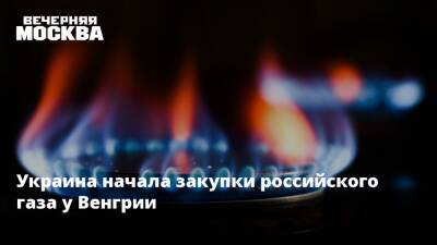 Украина начала закупки российского газа у Венгрии
