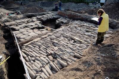 Ученые заявили об угрозе уничтожения памятников археологии в России из-за изменений закона