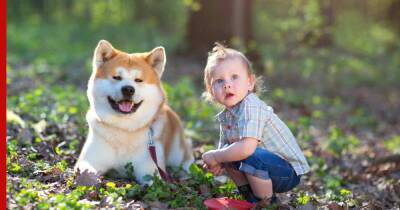 Укусы и грубые игры: 7 пород собак, которые могут быть опасны для детей