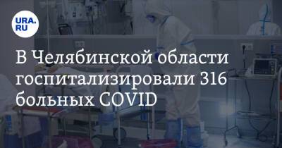 Ирина Гехт - В Челябинской области госпитализировали 316 больных COVID - ura.news - Челябинская обл.