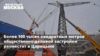 Более 100 тысяч квадратных метров общественно-деловой застройки разместят в Царицыне