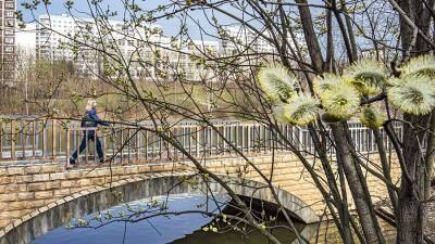 Глава Гидрометцентра рассказал о сроках наступления весны в России