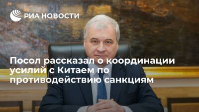 Посол Денисов: Россия и Китай координируют усилия по противодействию санкциям