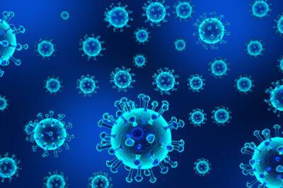 Почти 1300 человек заболели коронавирусом в Ленобласти за последние сутки