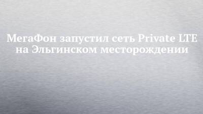 Александр Исаев - МегаФон запустил сеть Private LTE на Эльгинском месторождении - chelny-izvest.ru