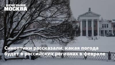 Синоптики рассказали, какая погода будет в российских регионах в феврале