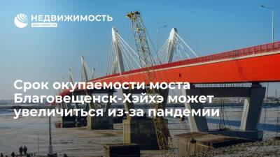 Орлов: срок окупаемости моста Благовещенск-Хэйхэ может увеличиться из-за пандемии