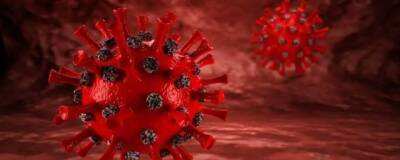 Глава Роспотребнадзора Попова: Лечение при коронавирусе и гриппе должно быть разным
