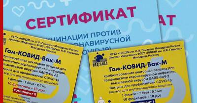 Евгений Егоров - Мошенники начали продавать справки о вакцинации детей "Спутником М" - profile.ru - Россия