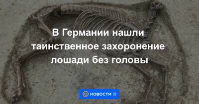 Анна Лысенко - В Германии нашли таинственное захоронение лошади без головы - news.mail.ru - Германия