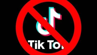 В Узбекистане призвали запретить социальную сеть TikTok