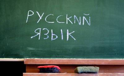 В Узбекистане активизировались мошенники, предлагающие получить за деньги сертификаты о знании русского языка