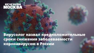 Вирусолог назвал предположительные сроки снижения заболеваемости коронавирусом в России