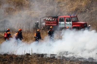 Тверская область продолжит закупку техники для охраны лесов от пожаров