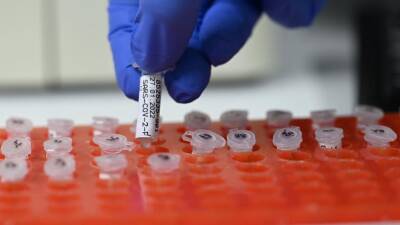 «Омикрон» защитит от «Дельты»: вирусологи говорят о конце пандемии