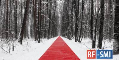 В парке Малевича открылся ленд-арт-проект «Белый лес»
