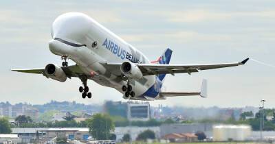 Атака "Белуг". Как Airbus может забрать у "Антонова" перевозку сложных грузов