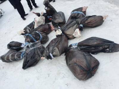 Двух полицейских отправили под домашний арест за убийство 9 косуль в Новосибирской области