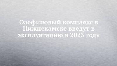 Олефиновый комплекс в Нижнекамске введут в эксплуатацию в 2023 году
