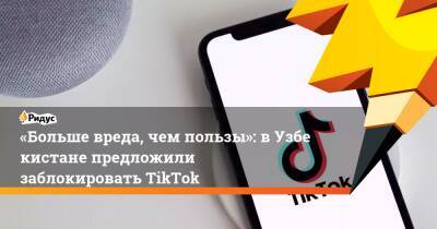 «Больше вреда, чем пользы»: вУзбекистане предложили заблокировать TikTok