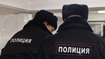 Жорин о драке в петербургском отделе полиции: «Далеко не однозначная история»