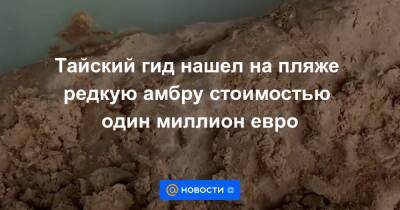 Екатерина Гура - ​Тайский гид нашел на пляже редкую амбру стоимостью один миллион евро - news.mail.ru
