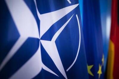 Политолог Дмитрий Орешкин: у России не должно быть права вето на вступление Украины в НАТО
