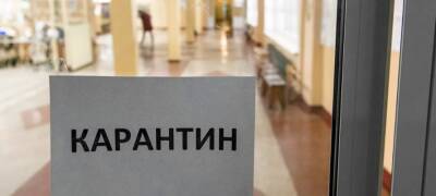 Несколько школ Петрозаводска перешли на дистант из-за ОРВИ и коронавируса