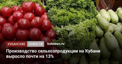 Производство сельхозпродукции на Кубани выросло почти на 13%