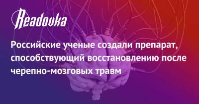 Российские ученые создали препарат, способствующий восстановлению после черепно-мозговых травм