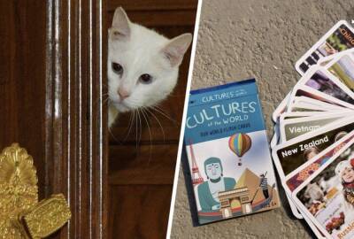 Эрмитажные коты попали в американскую настольную игру «Cultures of the world»