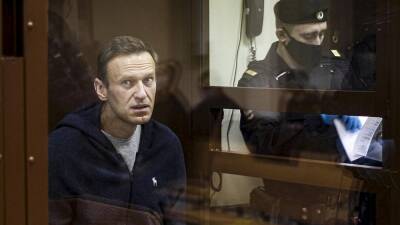 Алексей Навальный: год приговору